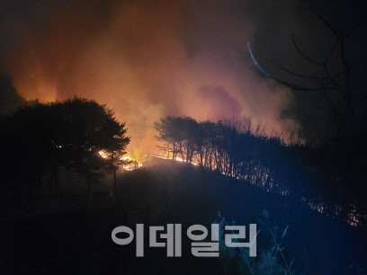 중앙산불방지대책본부, 경북 영덕에 올해 첫 '산불 3단계' 발령