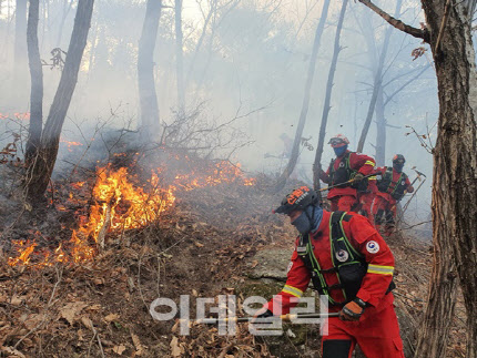 경북 영덕산불, 16일 야간진화로 전환…산림 100㏊ 소실 추정