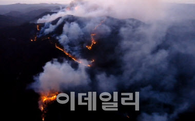 올해 첫 대형산불 '경북 영덕'…17일 일출과 동시에 헬기·인력 총동원