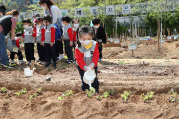 영등포구, 도심 속 텃밭 가꿀 '도시농부' 모집