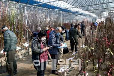 산림조합, 4월까지 전국 124곳서 ‘푸른장터 나무시장’ 운영