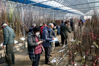 산림조합, 4월까지 전국 124곳서 ‘푸른장터 나무시장’ 운영