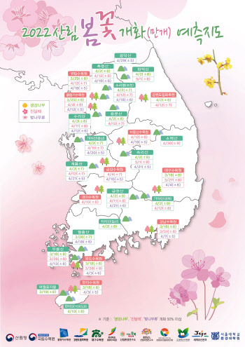 올해 수도권 벚꽃 만개 시기는 '4월 중순'