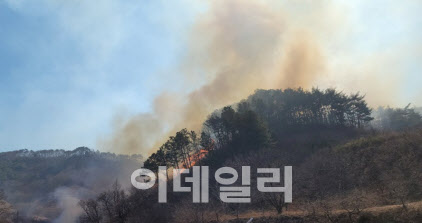 26일 부산·울산·고성 등 강원·영남에 대형산불 위험예보 발령
