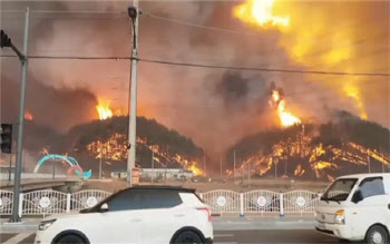 울진 산불, 강풍에 삼척까지 확산…축구장 700개 피해