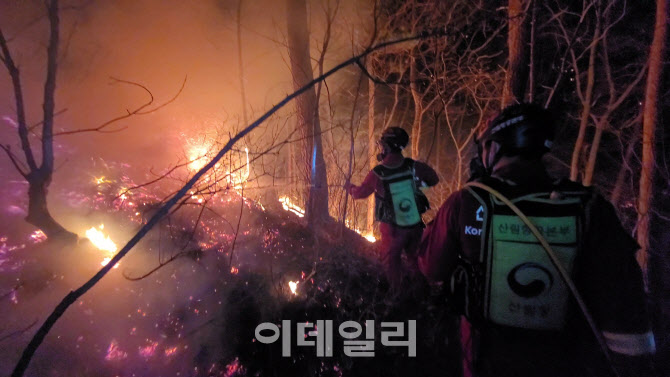 서울 전역에 건조주의보 발효…"산불 위험 커 주의"