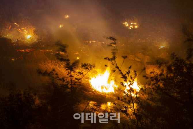 경북 고령군 쌍림면 산주리 야산서 화재 발생