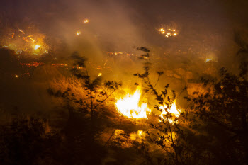 경북 고령군 쌍림면 산주리 야산서 화재 발생