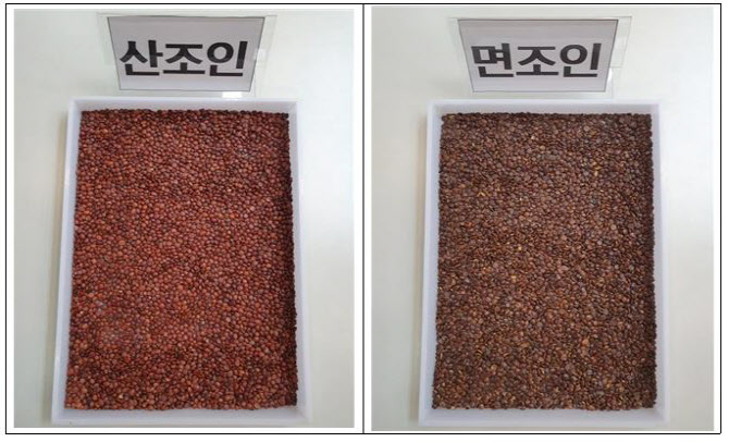 "값싼 면조인을 산조인으로"…서울시, 가짜 한약재 유통 업체 적발