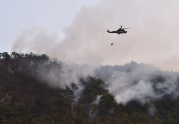 시멘트 업계, 산불 피해 지역 돕기 나선다