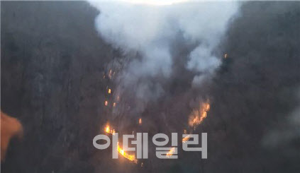 경기 수원·의왕 야간산불, 9시간 30분만에 큰 불길 잡혀