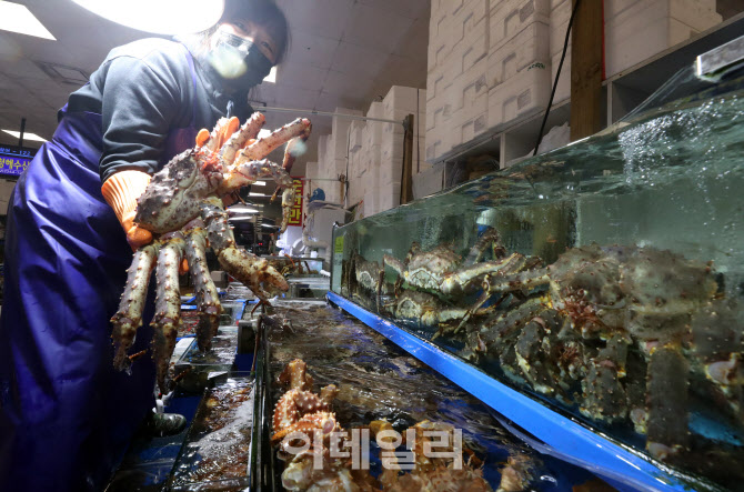 [포토] 수입산 수산물 가격 들썩