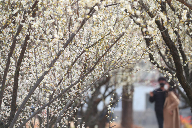 [오늘날씨]절기상 '춘분' 일교차 커…서울 낮 최고 12도