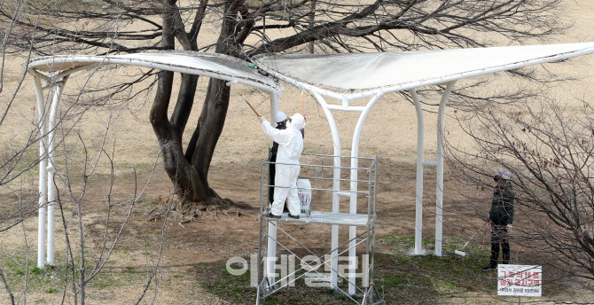 [포토]봄맞이 특별 환경정비하는 한강시민공원