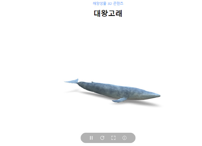 대왕고래·물개 등 해양생물, 3D 콘텐츠로 정보 제공