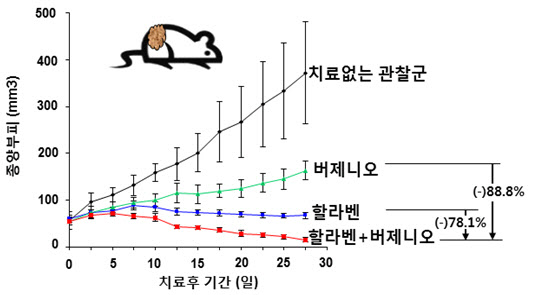 입랜스에 내성 있는 전이성 유방암 환자 치료법 개발