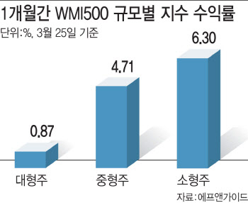 매크로에 죽쑤는 대형주…테마에 웃는 중소형주