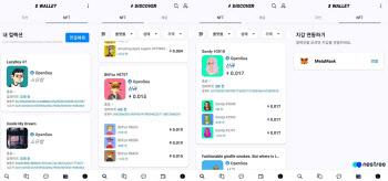 큐브엔터, NFT 사업 위해 네스트리 유상증자 참여