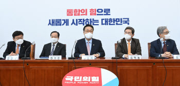 국민의힘, '홍준표 저격' 논란 감산룰 25%→10% 완화