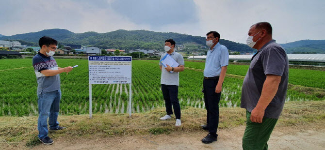양주시, 道 육성품종 '참드림 벼' 생산 농민 재배기술 교육
