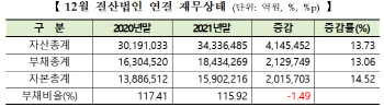 부채비율 115.9%…아시아나항공 2411%