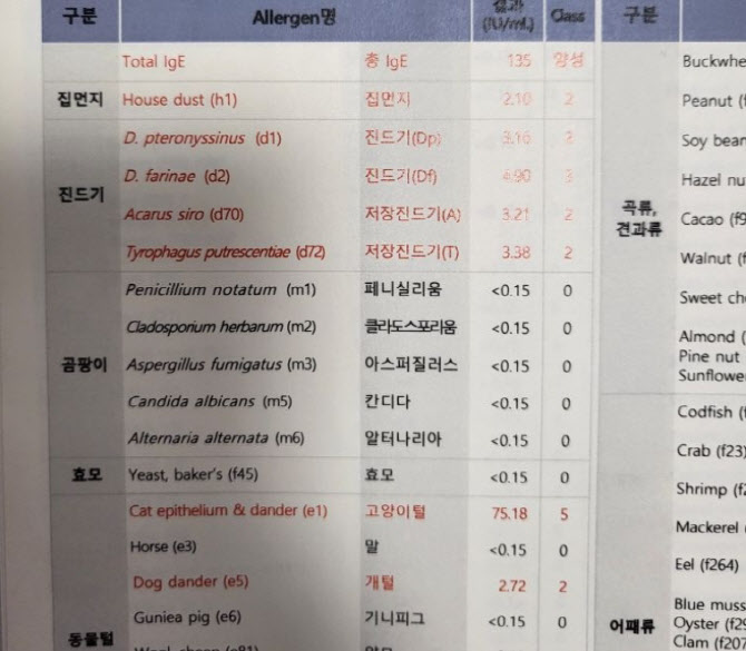 "날 죽이려한 시댁, 소송 걸었습니다"…며느리 사연, 무슨 일?