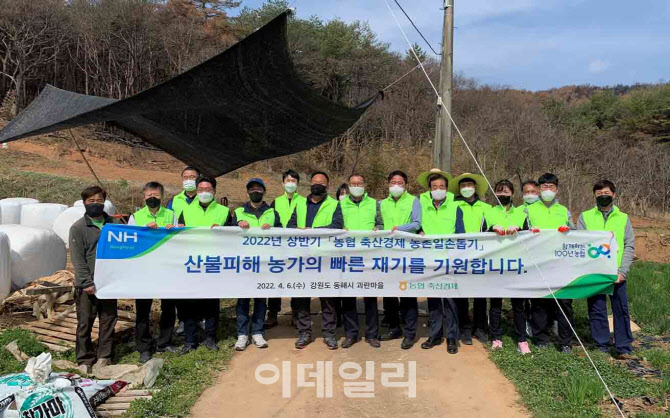 [포토] 농협경제지주 임직원, 산불피해 농가 일손돕기