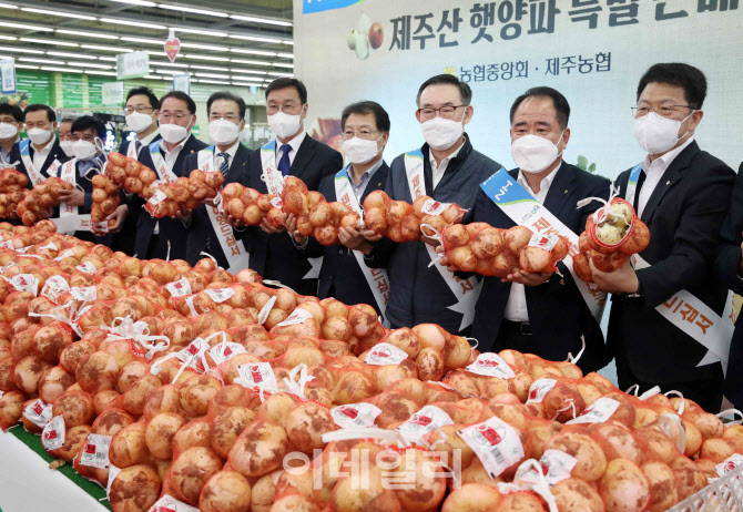 [포토] 제주 햇 양파 소비합시다~