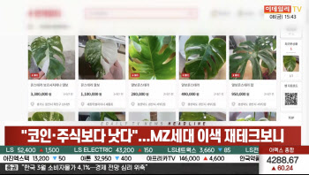 (영상)"코인·주식보다 낫다"...MZ세대 이색 재테크보니