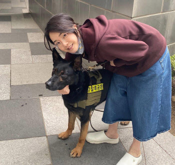 민주당 "'고양이 학대범 처벌' 목소리 내는 김건희, 국민 기만"
