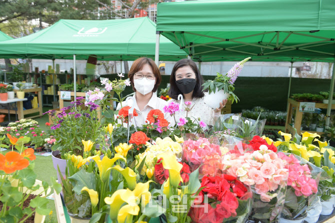 [포토] 하나로마트 창동점, 봄맞이 화훼축제