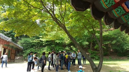 동궐도에 그려진 창덕궁 나무 보러 오세요