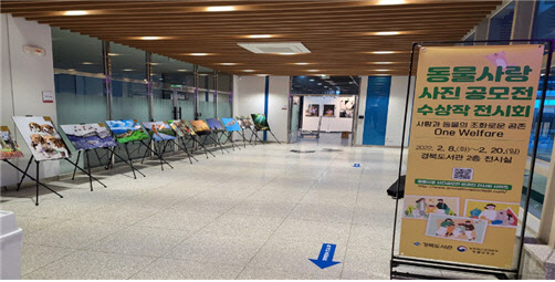 ‘주홍이’ 학대 재발 막자…전국 ‘동물사랑 주간’ 운영