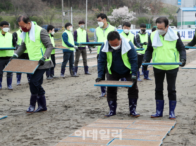 [포토] 농협 농촌일손돕기