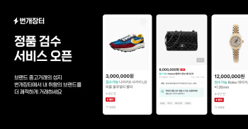 중고장터 가짜 샤넬백·조던화 '꼼짝마'