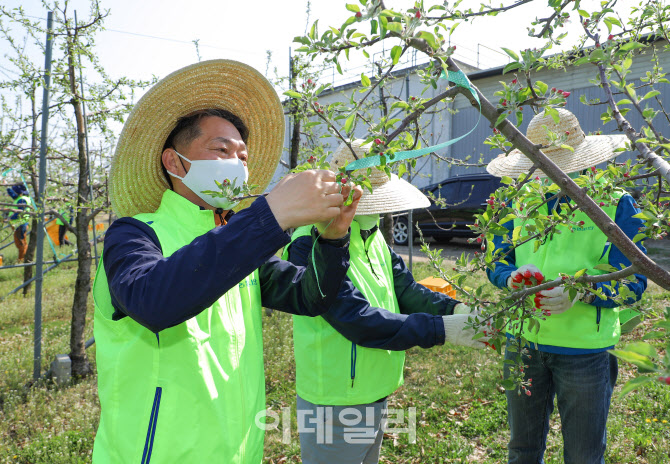 [포토] 농가 일손돕기하는 조소행 대표