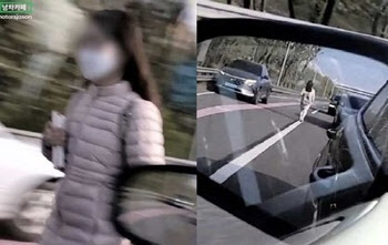 (영상) 책 들고 올림픽대로 활보한 의문의 긴머리女, 정체가…