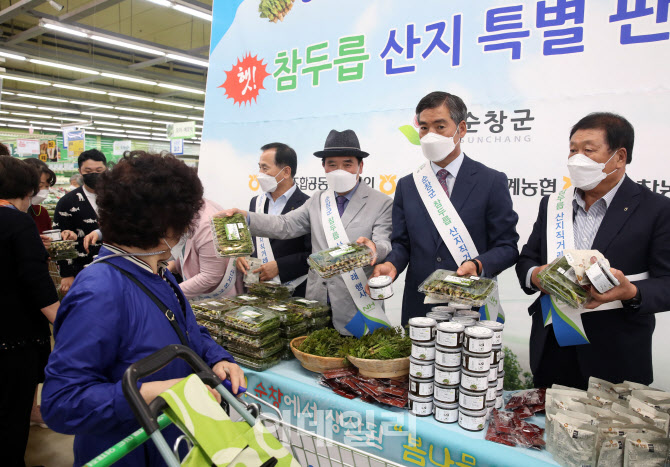 [포토] 순창군 참두릅 산지 특별판매