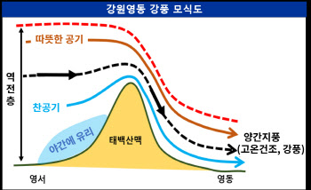 강원영동에 3일간 '양간지풍' 분다…"대형산불 유의"