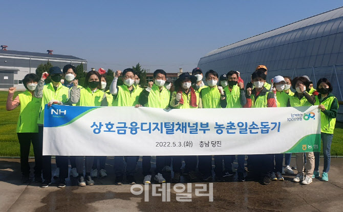 [포토] 농협 상호금융디지털채널부, 농가 일손돕기