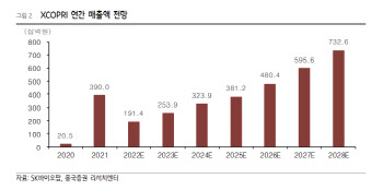 SK바이오팜, 뇌전증 치료제 고성장…2024년 흑자전환-흥국