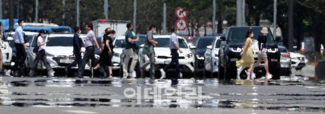 [포토]5월의 아지랑이