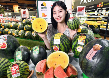 홈플러스, '수박 페스티벌' 개최…"제철 과일 저렴하게"