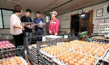 '여름철 안전한 먹거리 공급'…경기도, 축산물 특별점검