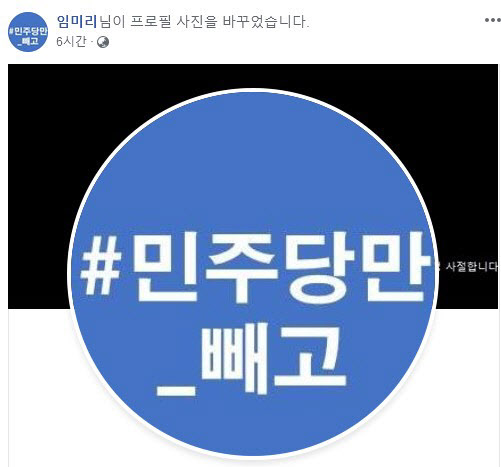 헌재, '민주당만 빼고' 임미리 "선거법 기소유예 정당"