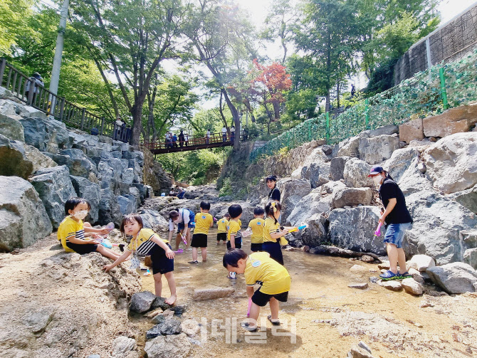 청학밸리리조트 개장…조광한시장 "전국 최고의 공짜 휴식처"