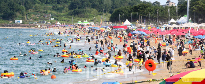 강원도 주요 해수욕장 내달 8일 개장
