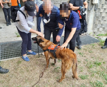 119구조견 '전진', 냄새로 야산에 쓰러진 실종 치매 노인 찾았다