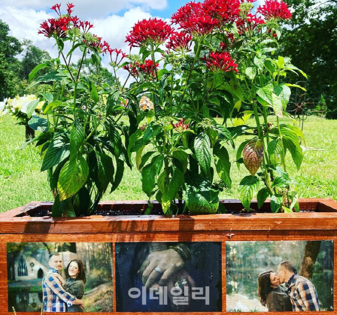 약혼녀 무덤에 꽃 뒀다는 이유로 '벌금형' 받은 사연