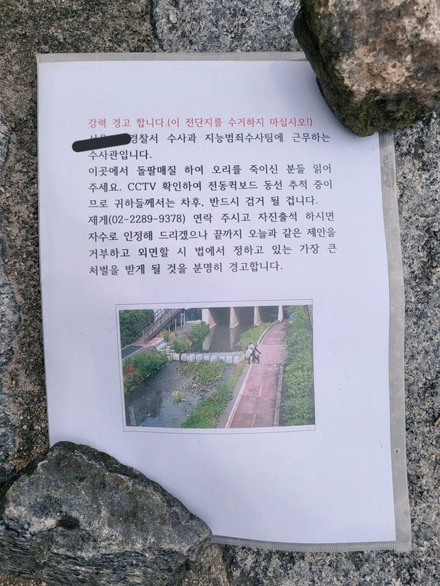 "돌팔매질로 오리가족 죽인 남성 2명, 반드시 검거될 겁니다"
